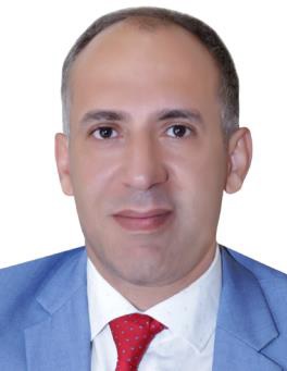 Assistant Professor Dr. Mohamed Hassan Abdel Hafez